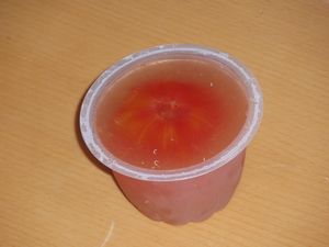 吟果膳でざあととまと