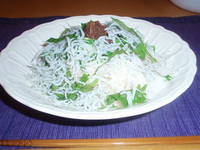 晩御飯