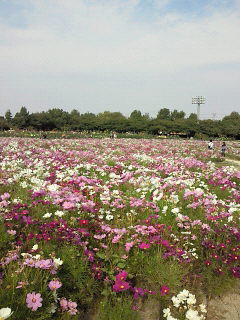 Nagashima Resort ♪