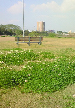 行ってみました☆