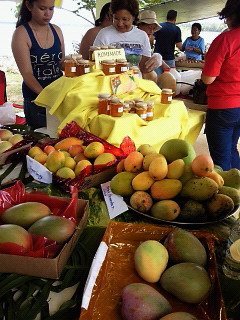 Mango Festival （Guam）