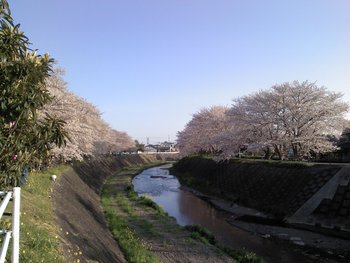 美容院＆お花見デビュー♪