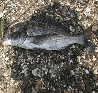 浜名湖トップ 2020/08/09 16:55:23