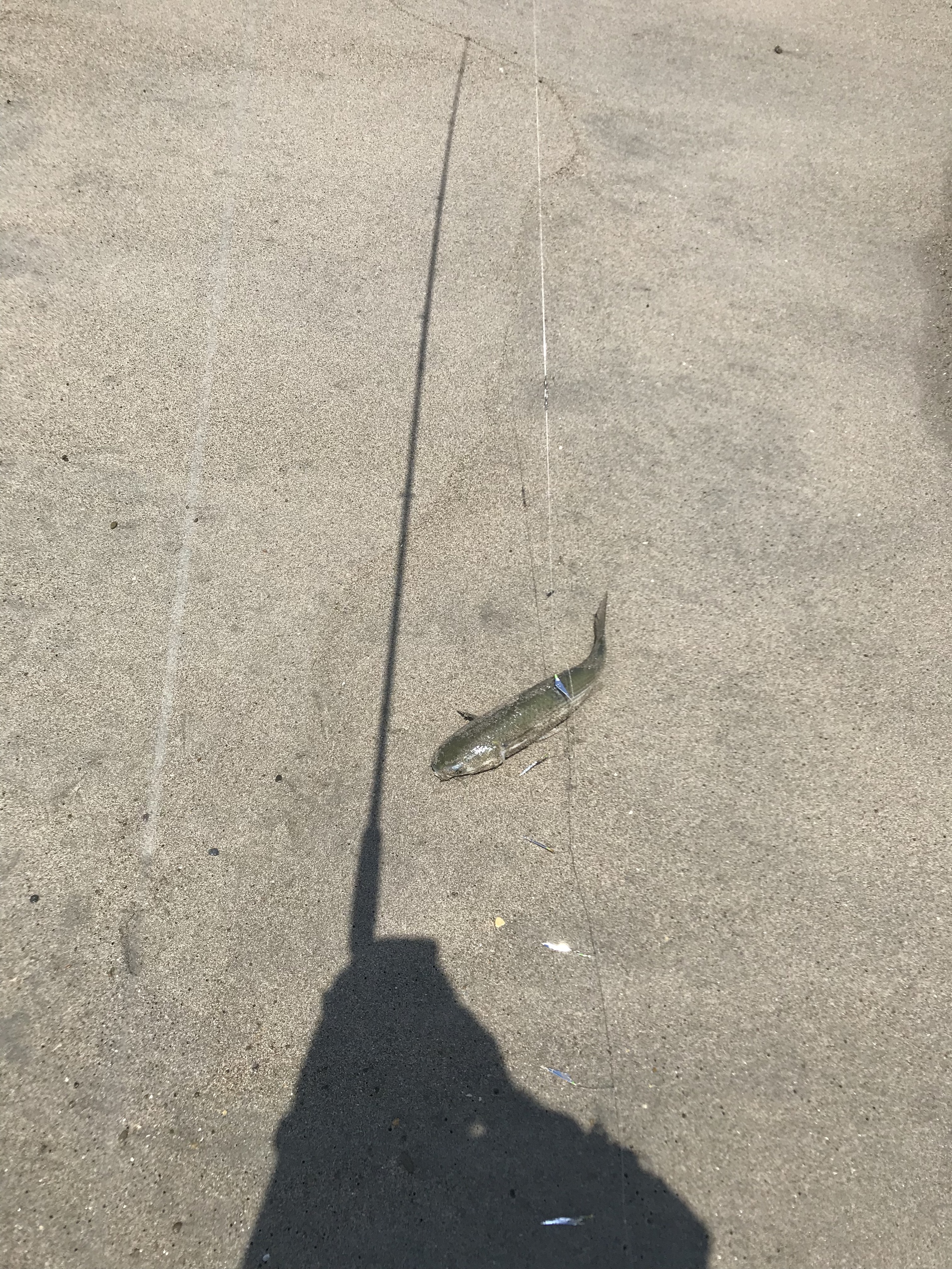 浜名湖トップ
