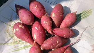１１月２８日（金）袋井保健センターでママだらです☆