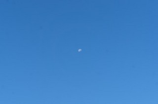 １２月１４日（水）はクリーンピアあいのでママだらです。