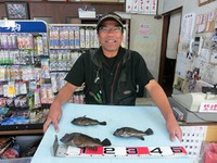 メバル：サイズＵＰはこれからだよ～！！