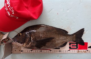 黒鯛：初釣りでゲット！！