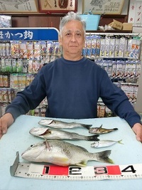 セイゴとキビレ：良く当たった！！