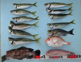浜名湖沖で五目釣り～！！