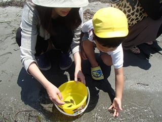 第６回ヒラメ放流