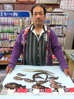 今日もカサゴとアナゴだった！！