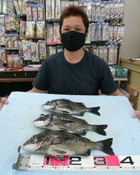 黒鯛：期待しての釣行！！ 2021/06/04 18:18:00