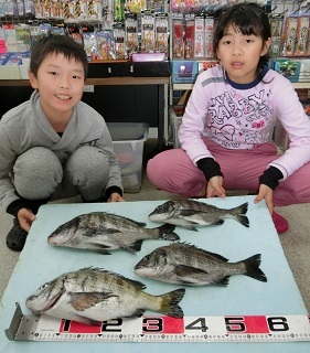 黒鯛：居る居る大きいのが…！！
