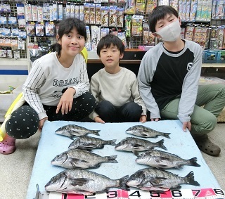 黒鯛：爆釣だ！！