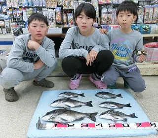 黒鯛：主役は誰だ？