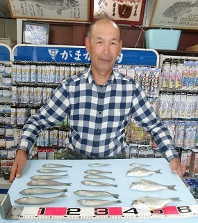 キス釣り：魚影は濃い！！