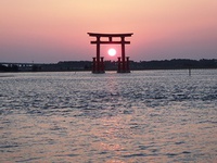今年も…