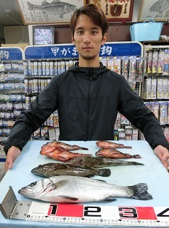 ヒラメも釣りたかった！！
