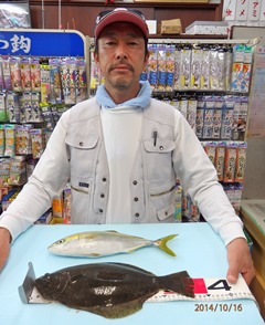 ヒラメとアブコ：そろそろ始めようかな！！