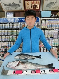 黒鯛とほぼほぼマダカ！！ 2021/04/24 18:41:00