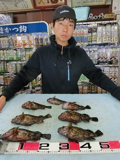 カサゴ：良型揃いで竿仕舞い！！