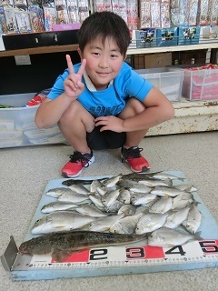 ヘダイをいっぱい釣っちゃった！！