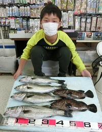 セイゴとクエ：確率よい釣果！！ 2021/05/16 18:10:00