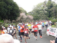 第9回掛川新茶マラソン 2014/04/14 09:04:32