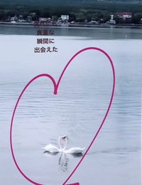 【白鳥の湖】 2019/12/08 07:46:03