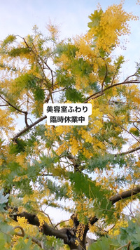 【ウォーキング】 2020/04/17 11:49:32