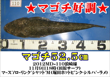 最近の釣果★フラット