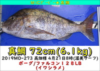 2019MiCダービー最終結果