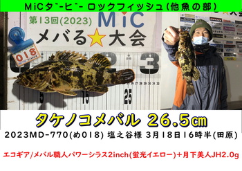 メバる★大会2023　検量03
