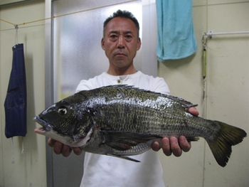 MiCダービー★鯛（エサ釣りの部）49㎝！