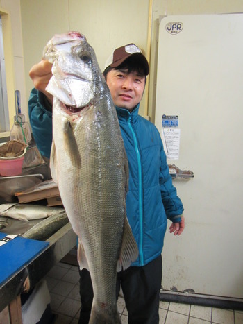 最近の釣果★シーバス