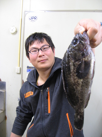MiCダービー★2017ロックフィッシュ（他魚）WANTED