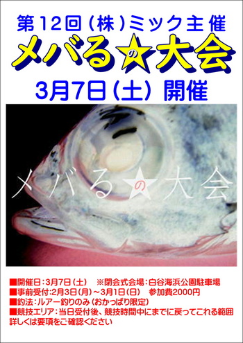 2019MiCダービー最終結果