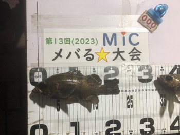メバる★大会2023　検量01