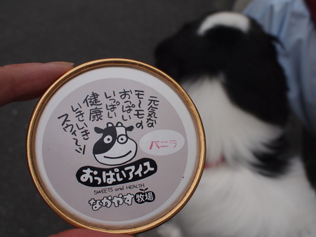 ユウ君、ダムに行く。おじいちゃんと初めてのドライブ♪