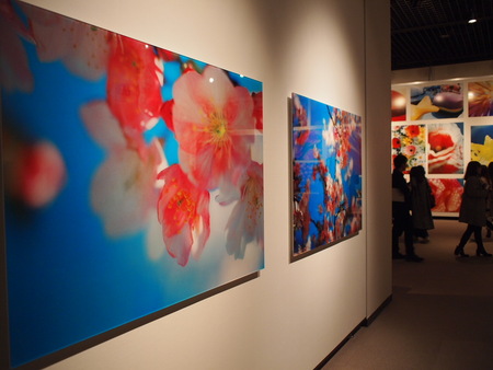 心が萌えた♪　最終日の蜷川実花展へ　静岡県立美術館
