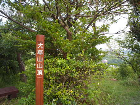 浜松ぽんぽん祭りと大草山へ