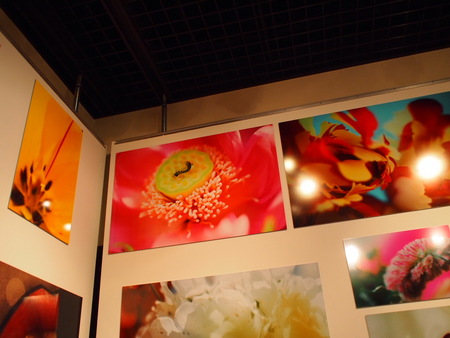 心が萌えた♪　最終日の蜷川実花展へ　静岡県立美術館