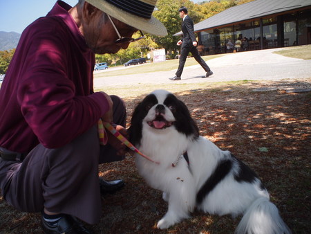 狆のユウ君、おじいちゃんのふるさとへ行く♪