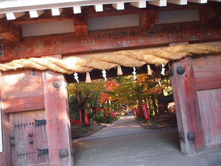 袋井市　油山寺の紅葉情報♪　11/28は6,7部付きでした♪