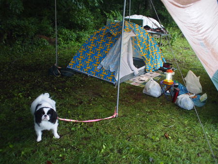 ユウ君の夏休み♪2　清里で初めての犬連れキャンプ♪