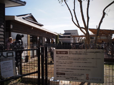 ワンコと行くバスツアー「わんバス」①　静岡市ドックカフェ　クーさんでランチ♪