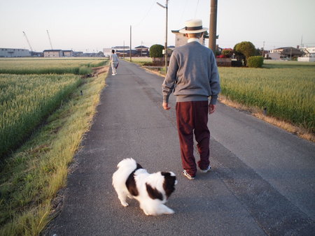 狆のユウ君、おじいちゃんのふるさとへ行く♪　柳川市へ