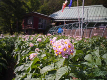 梅雨に入る前に走りたい♪　芦川から河口湖へ