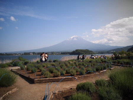 梅雨に入る前に走りたい♪　芦川から河口湖へ